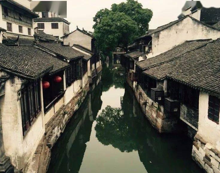 春雨直播app